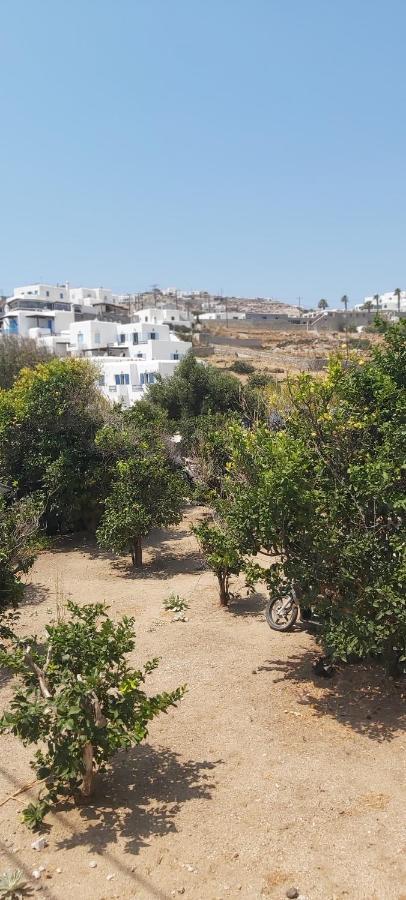 Demis Mykonos Stay 2 Platys Gialos  Eksteriør bilde